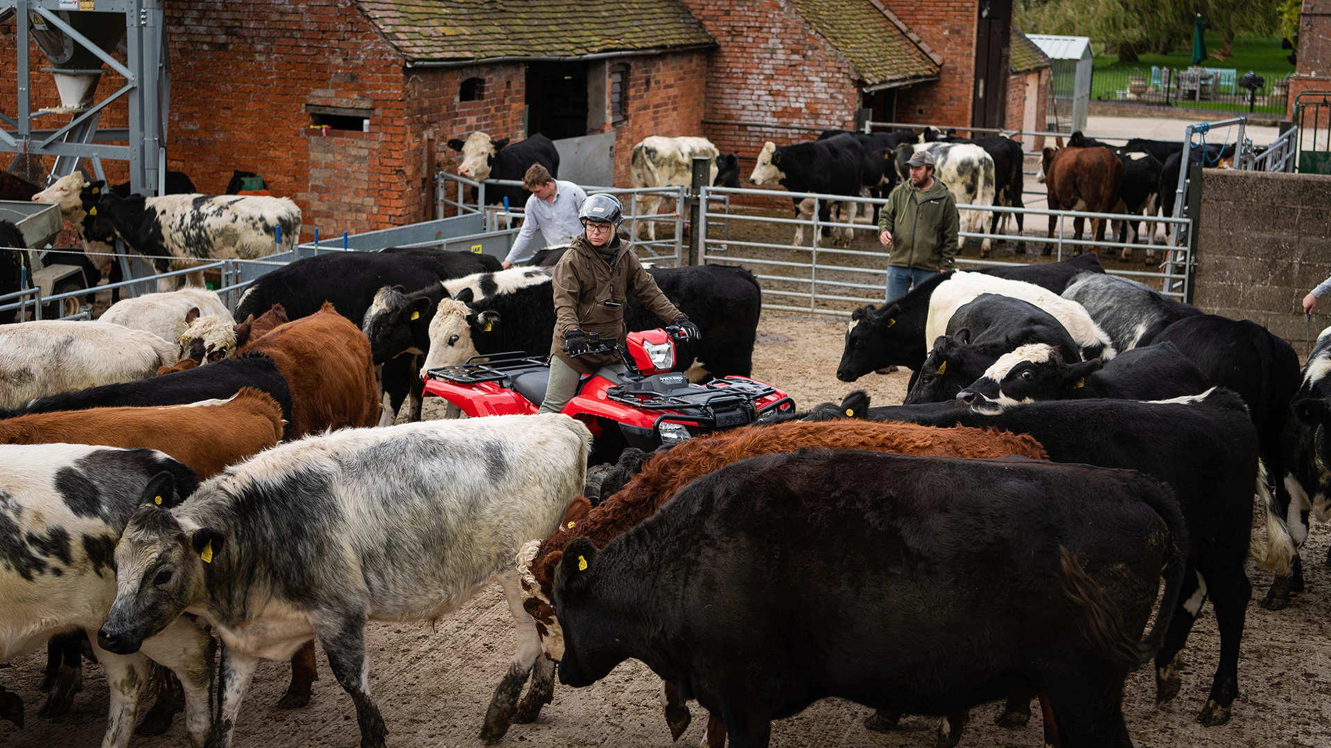 20YM TRX520 2020 Lifestyle 5621