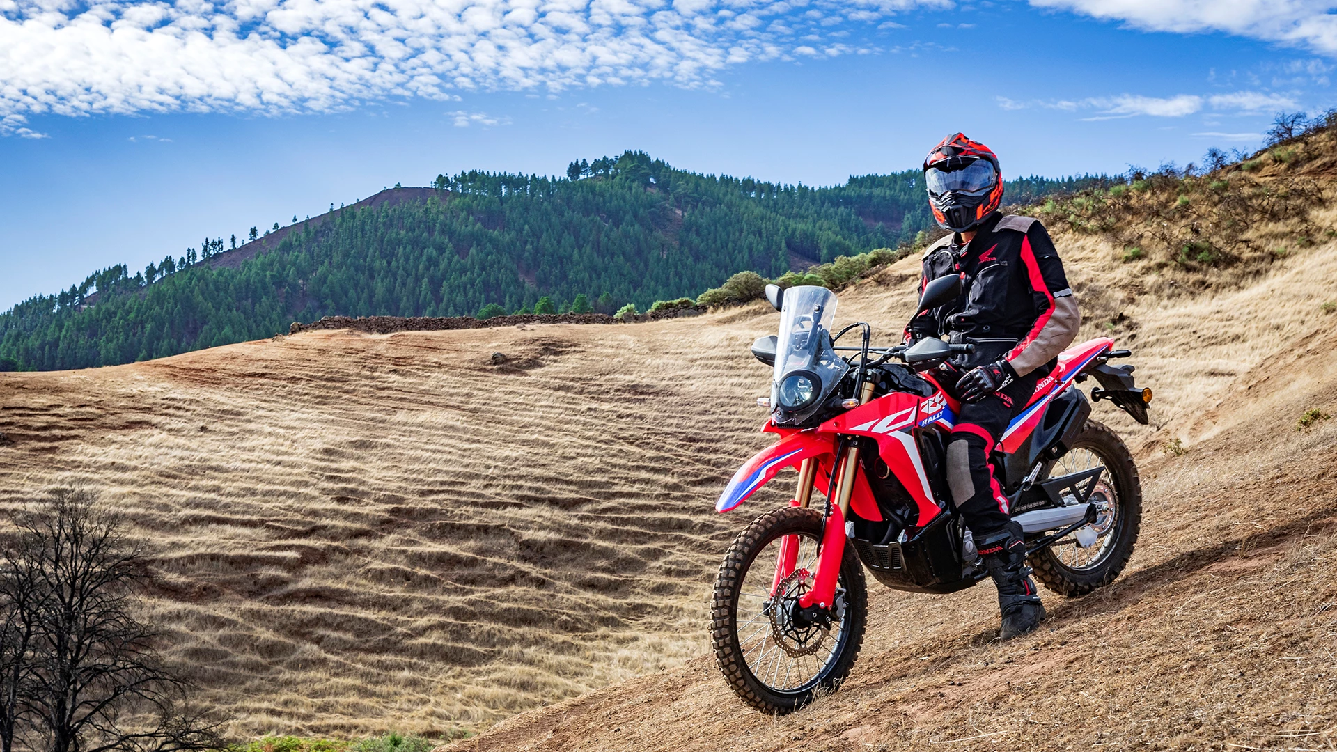 22Ym Crf300 Rally Location 2774