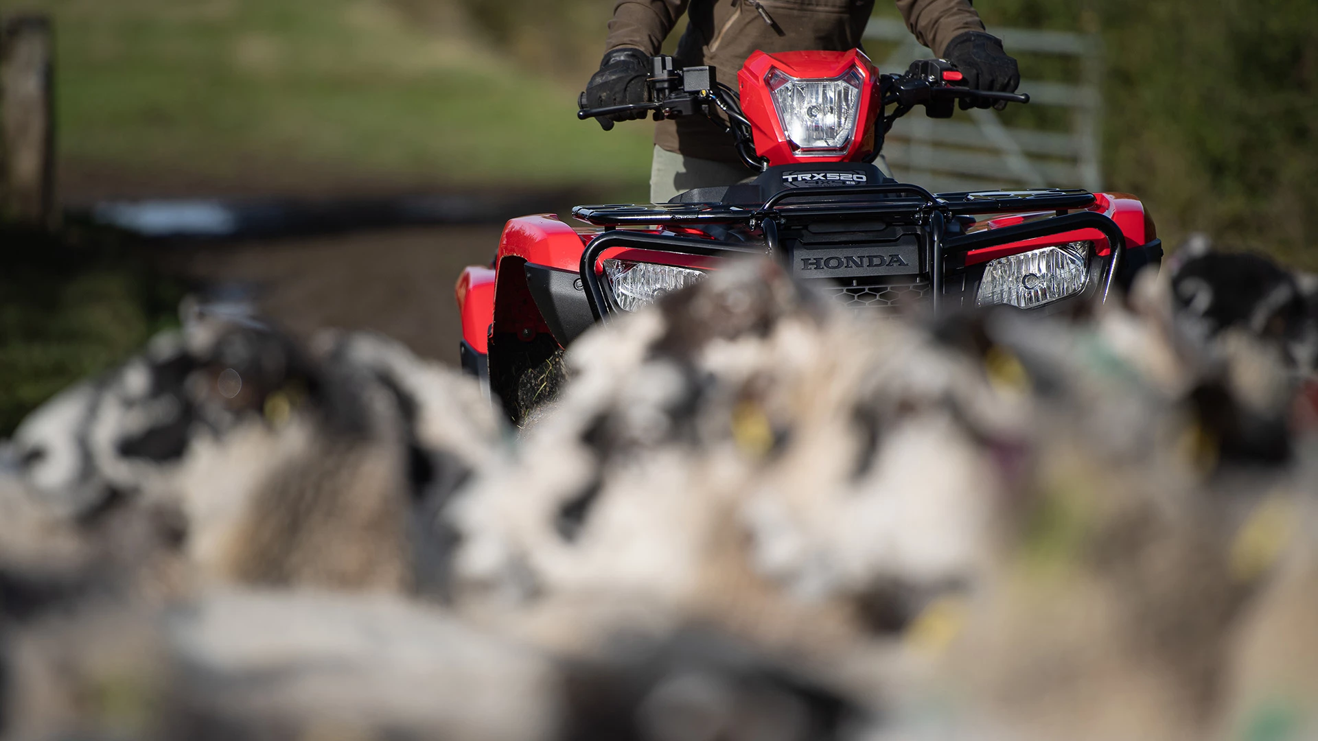 20YM TRX520 2020 Lifestyle 3205