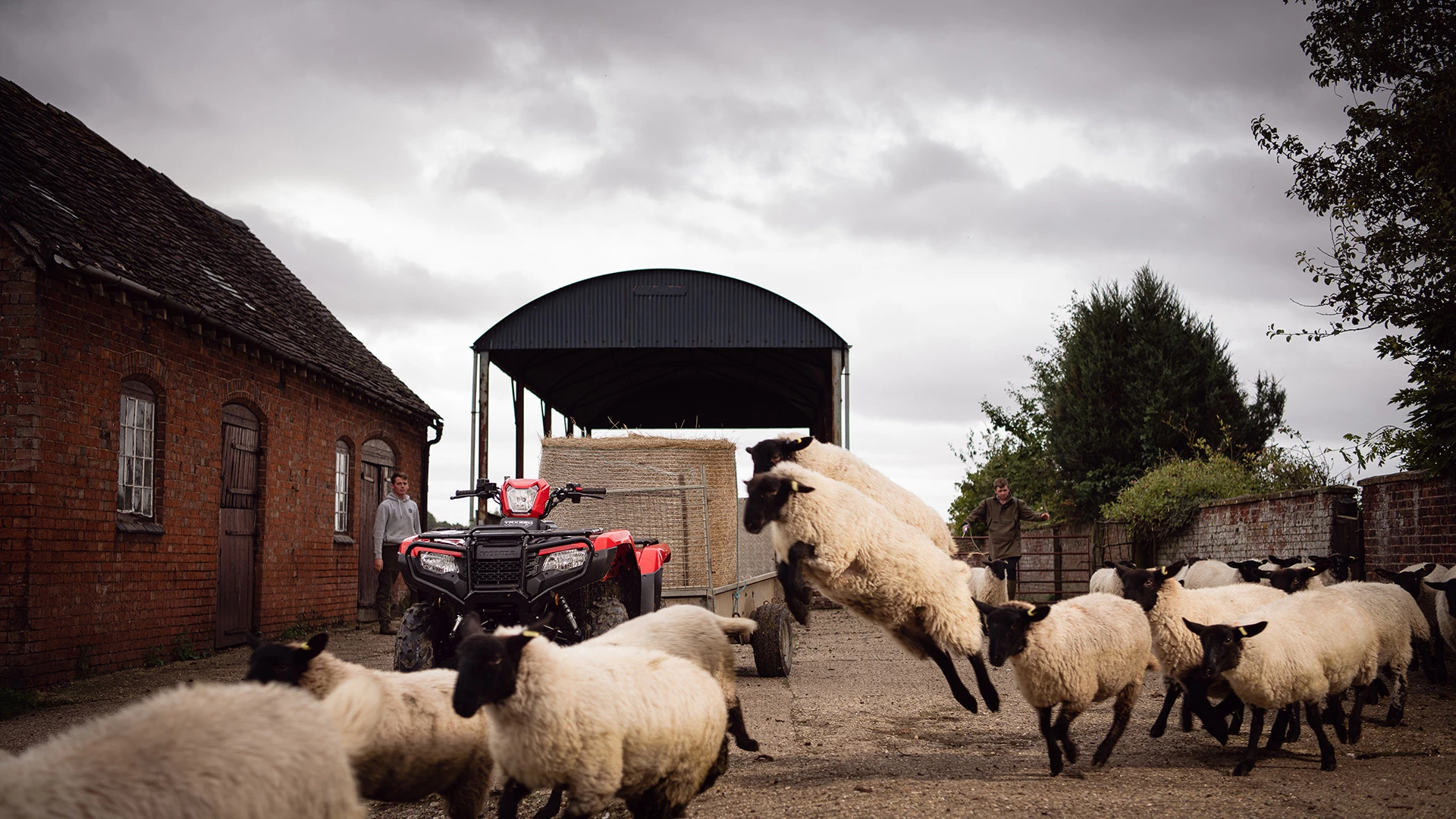 20YM TRX520 2020 Lifestyle 5752